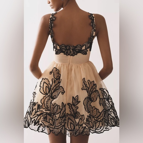 Anthropologie Dresses & Skirts - NWT Size 8P - Maeve Sleeveless V-Neck Lace Fit & Flare Mini Dress